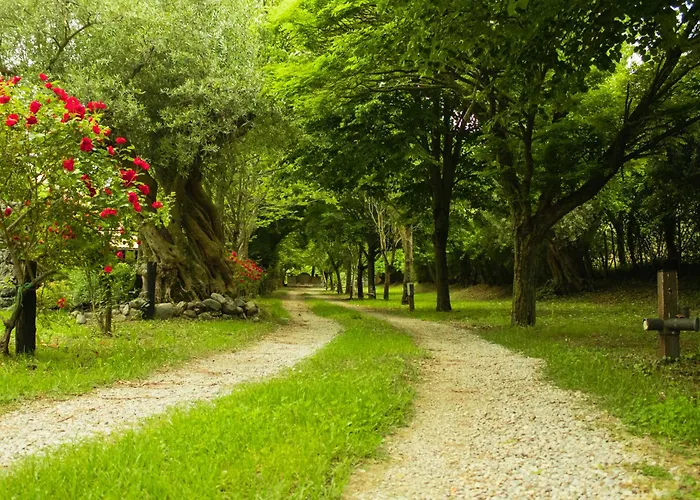 Ciclopark Morano Calabro