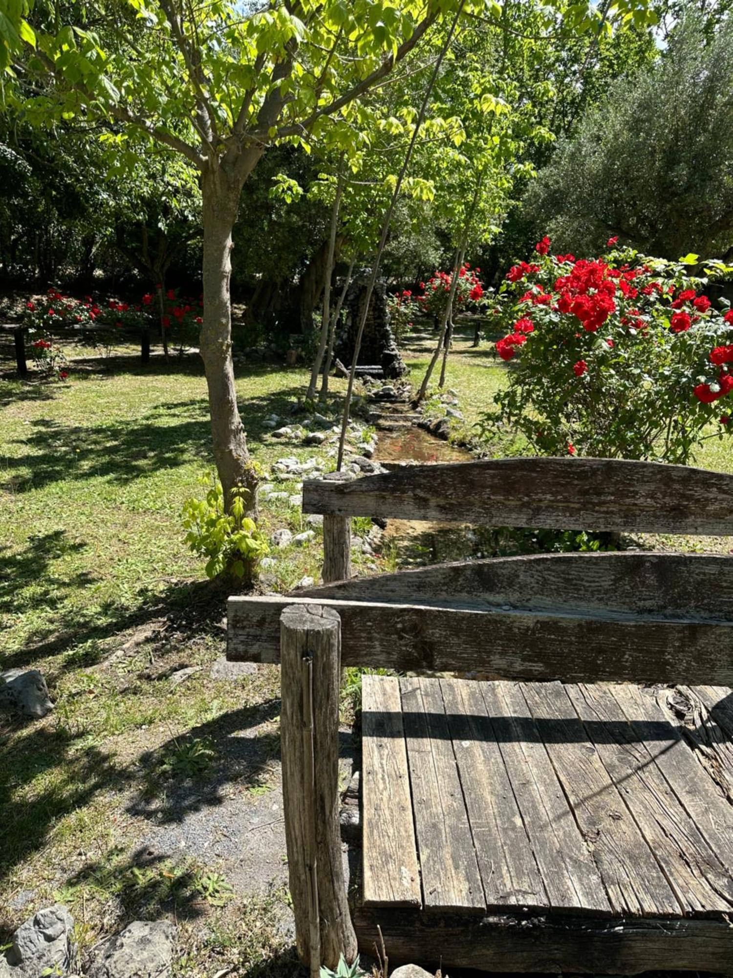Ciclopark Morano Calabro