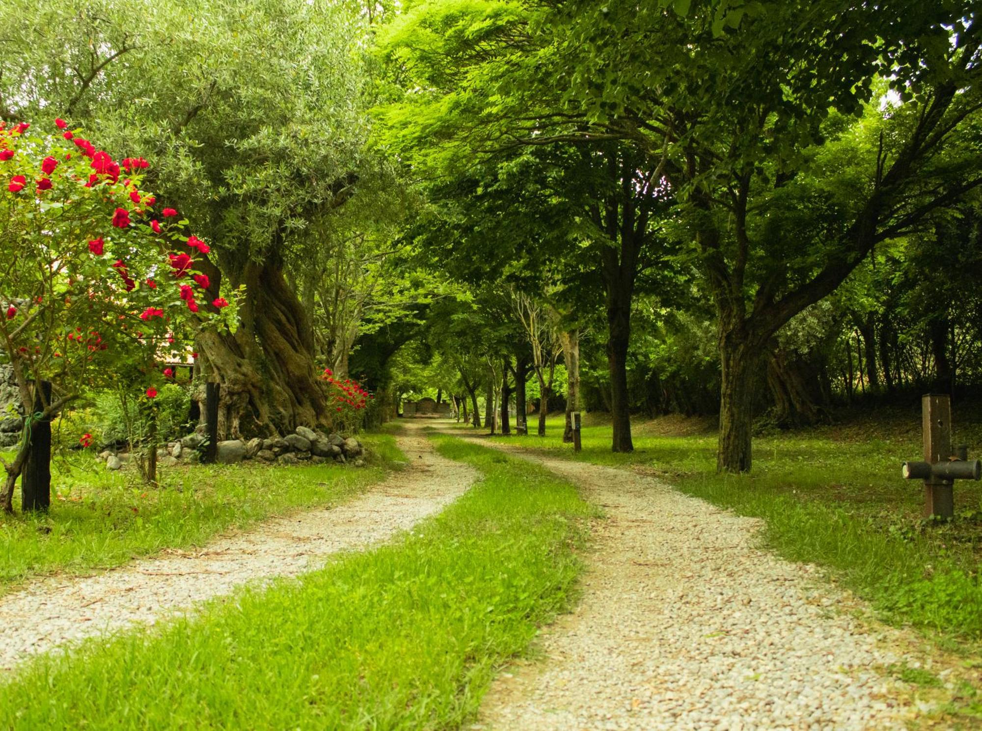 Farm stay Ciclopark